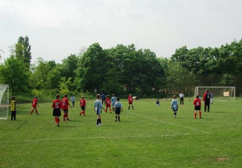 5_m11.jpg